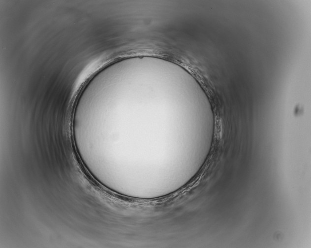 X0000089930004200707201850