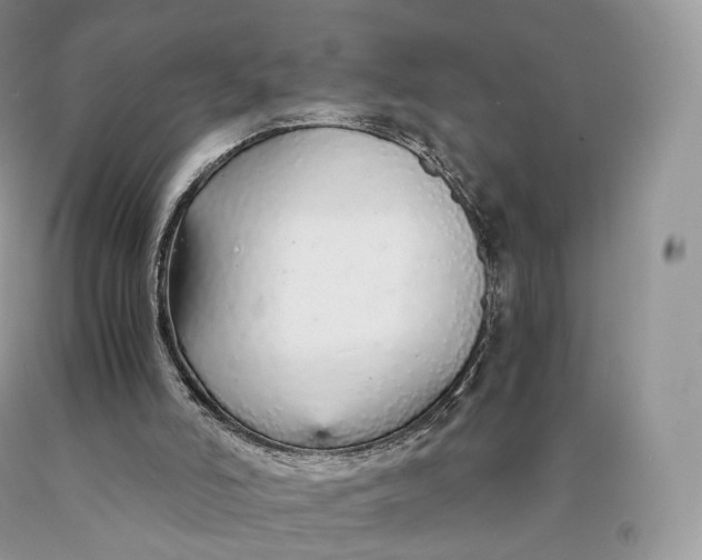 X0000089930006200707201850