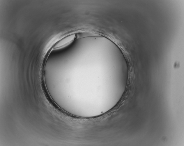 X0000089930007200707201850