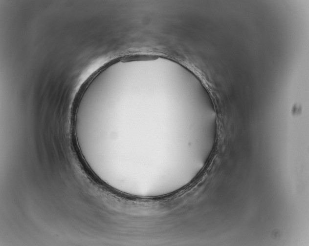 X0000089930008200707201850