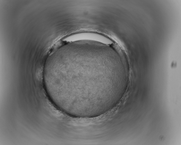 X0000089930009200707201850