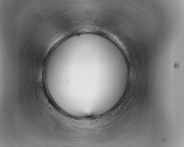 X0000089930010200707201850