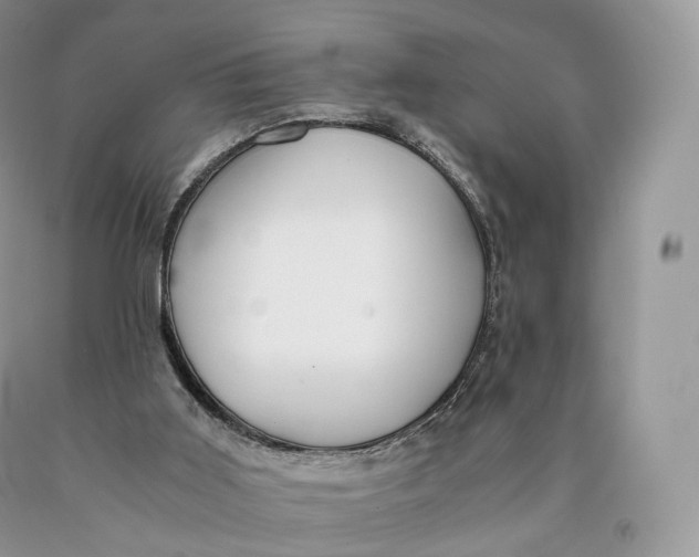 X0000089930011200707201850