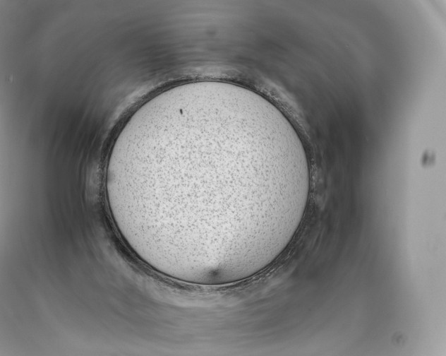 X0000089930012200707201850