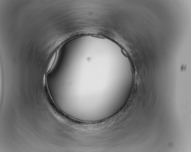 X0000089930013200707201850