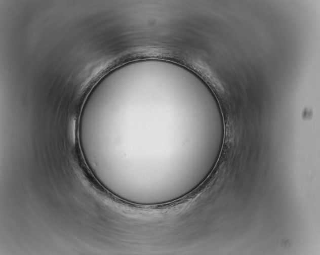 X0000089930014200707201850