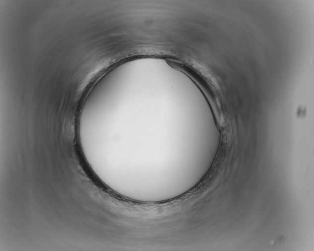 X0000089930015200707201850