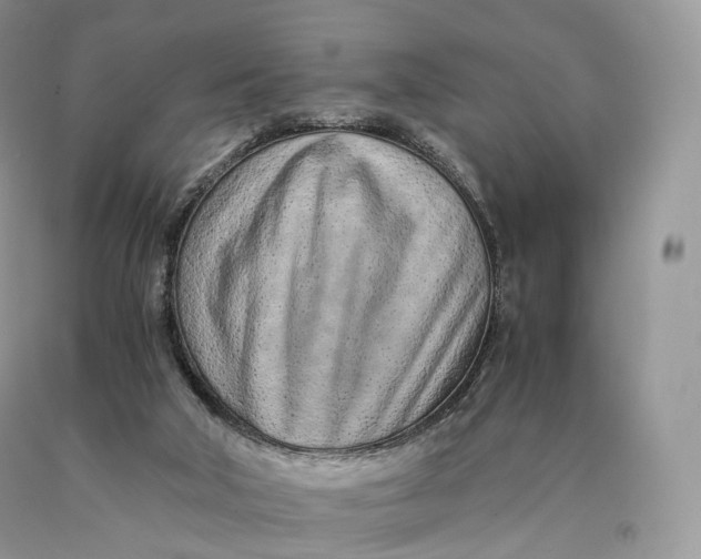 X0000089930018200707201850