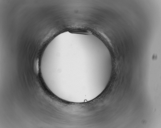 X0000089930020200707201850