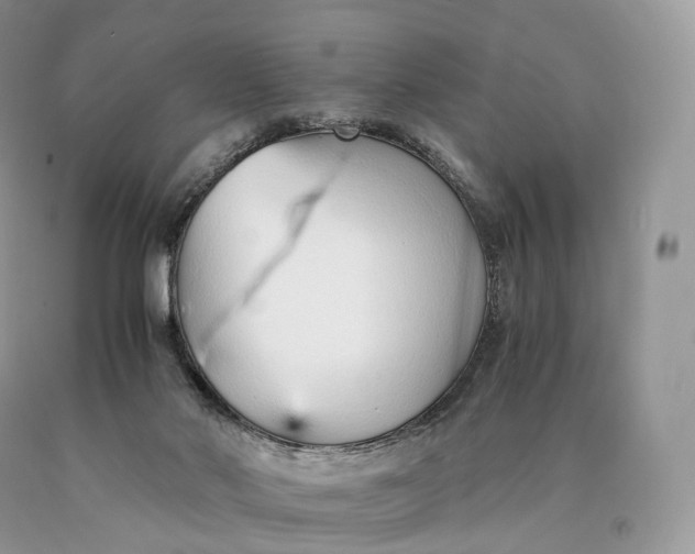 X0000089930022200707201850