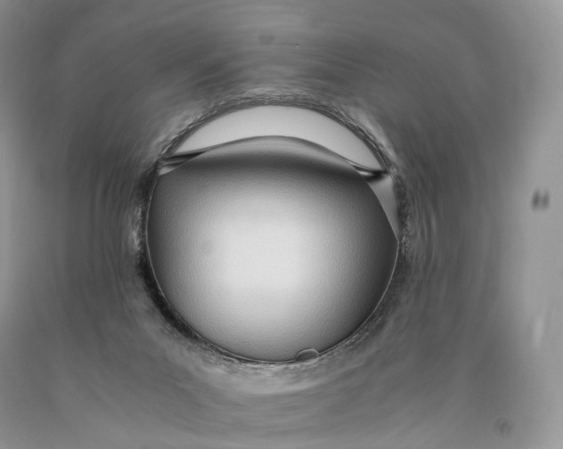 X0000089930023200707201850