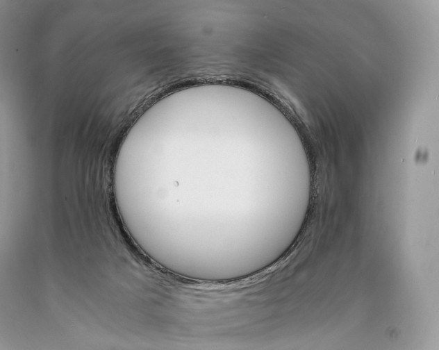 X0000089930025200707201850