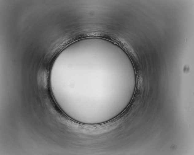 X0000089930026200707201850