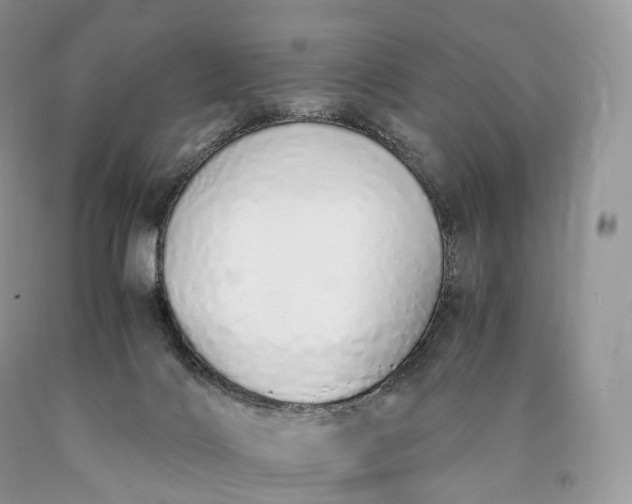 X0000089930028200707201850