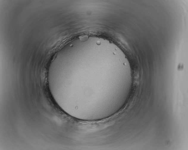 X0000089930029200707201850