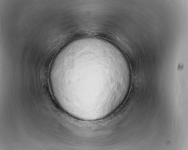 X0000089930030200707201850