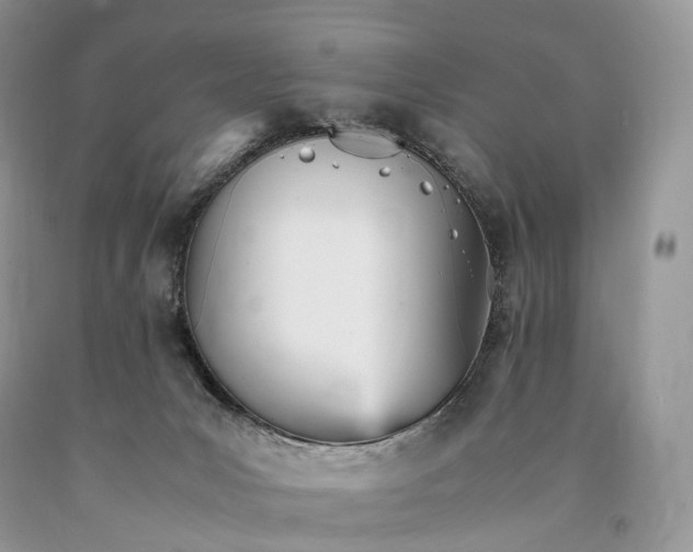 X0000089930031200707201850