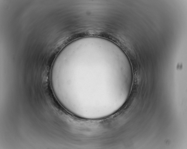 X0000089930032200707201850