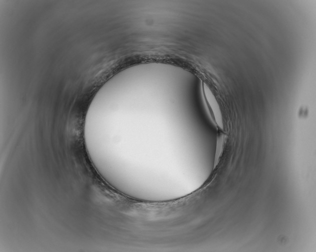 X0000089930033200707201850