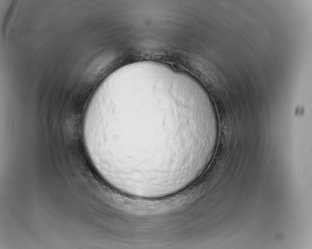 X0000089930034200707201850