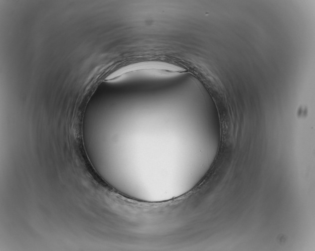 X0000089930035200707201850