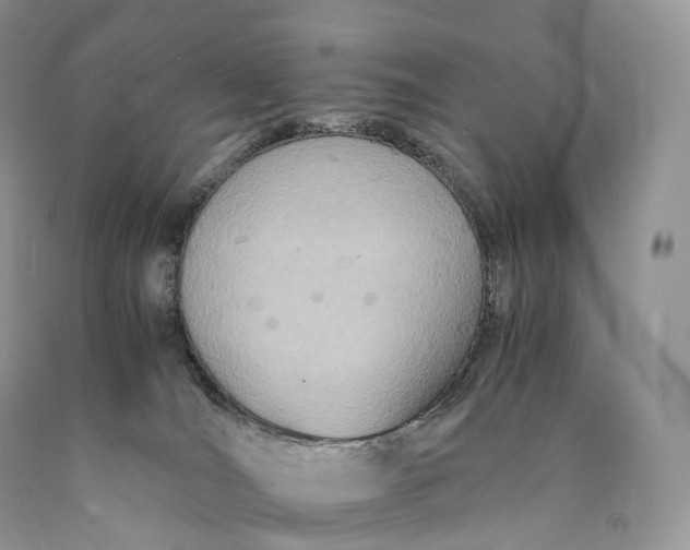 X0000089930036200707201850