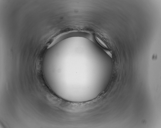 X0000089930037200707201850