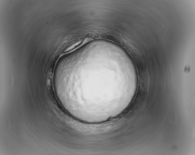 X0000089930038200707201850