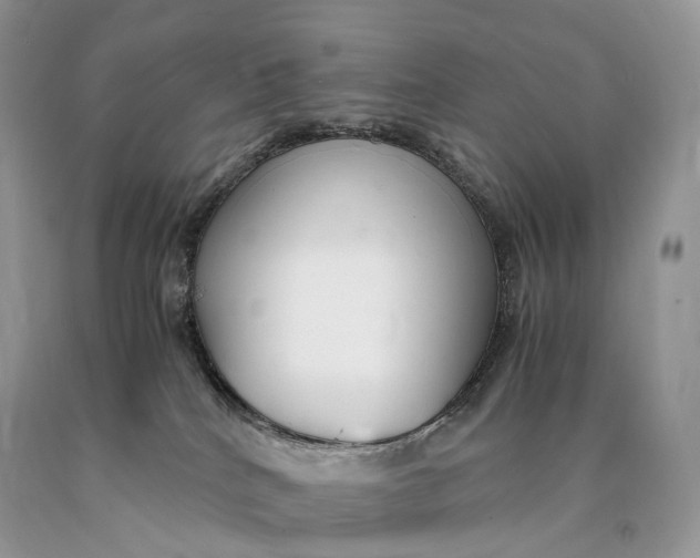 X0000089930040200707201850