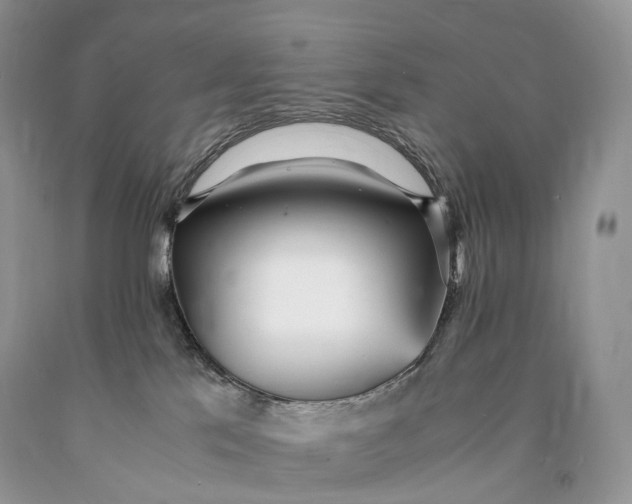 X0000089930041200707201850