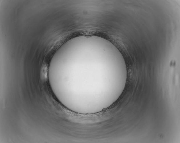 X0000089930042200707201850