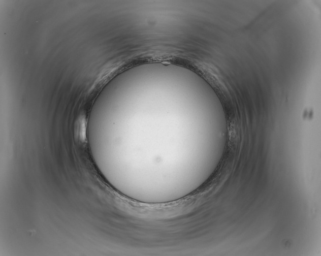 X0000089930046200707201850