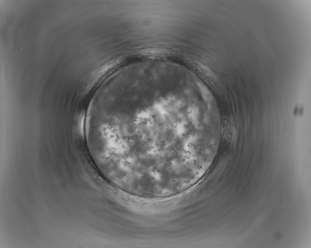 X0000089930047200707201850