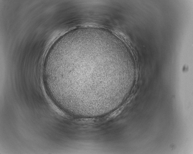 X0000089930049200707201849