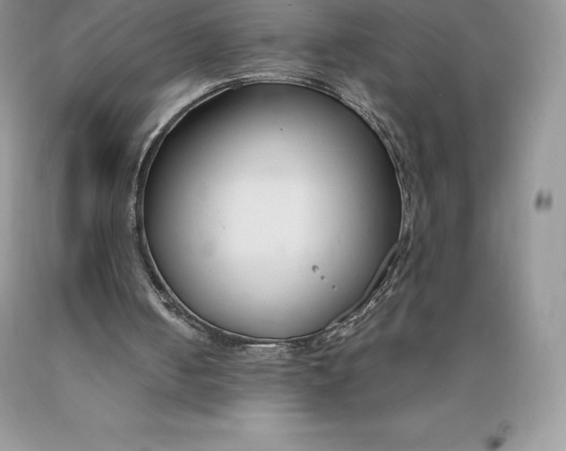 X0000089930050200707201849