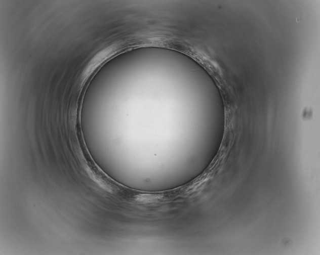 X0000089930051200707201849