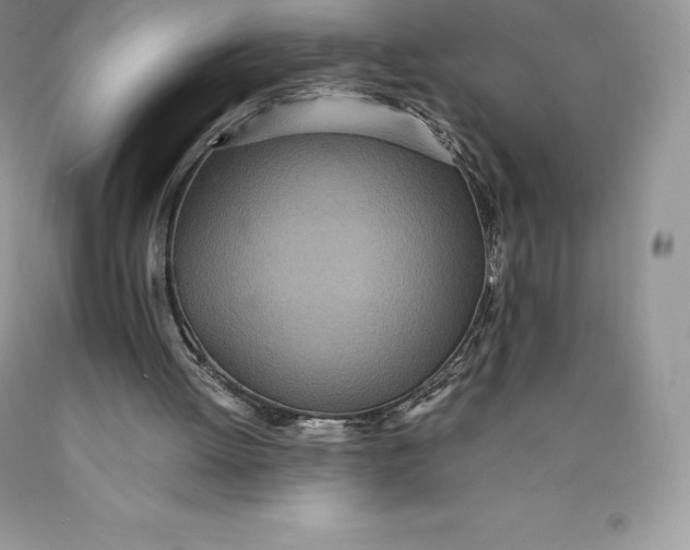 X0000089930052200707201849