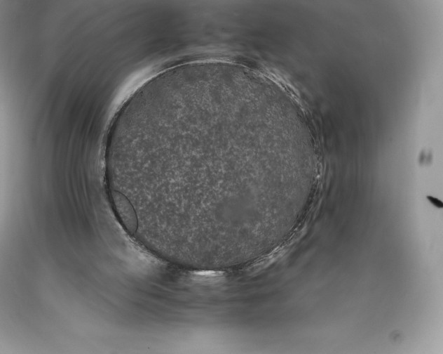 X0000089930053200707201849