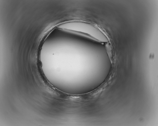 X0000089930055200707201849