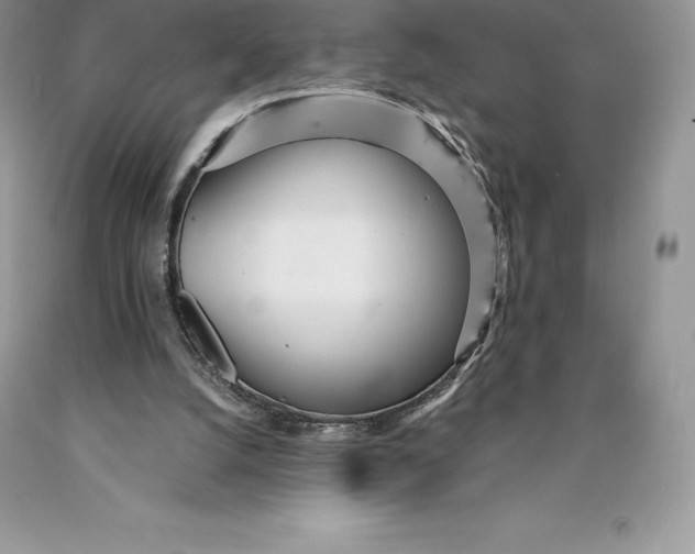 X0000089930056200707201849