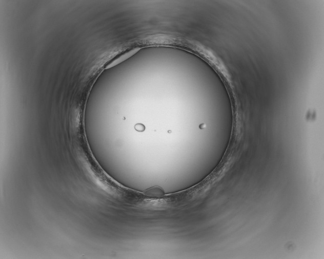 X0000089930057200707201849