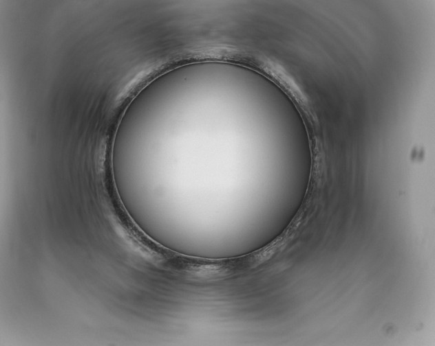 X0000089930058200707201849