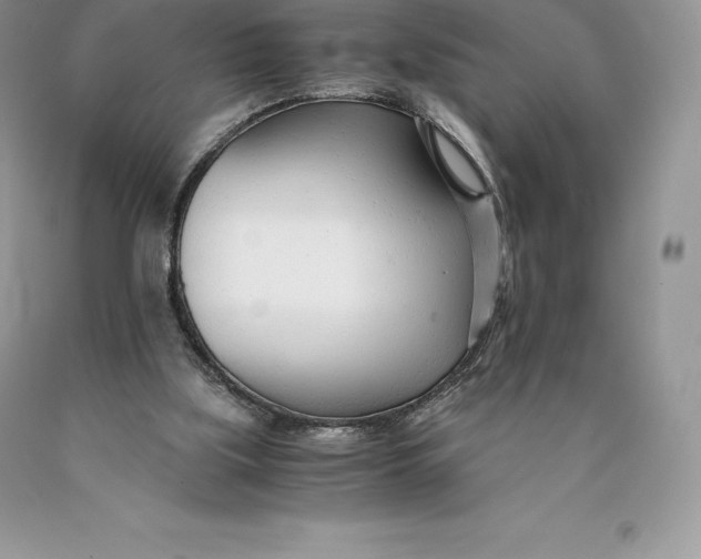 X0000089930059200707201849