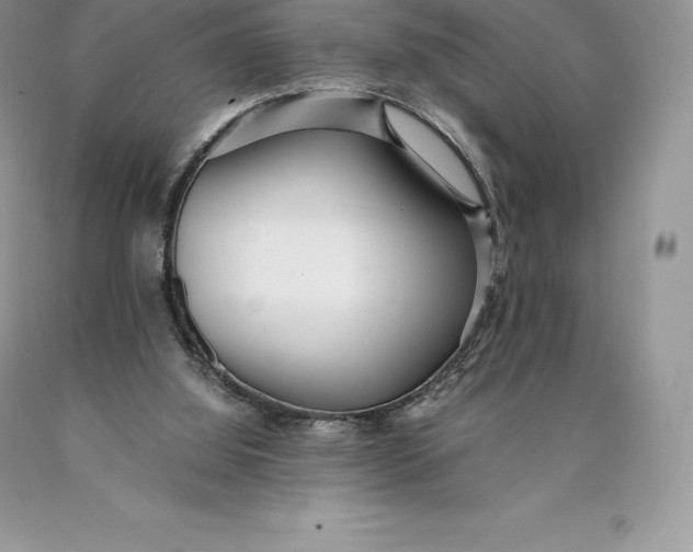 X0000089930060200707201849