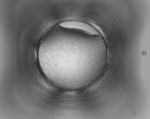 X0000089930061200707201849