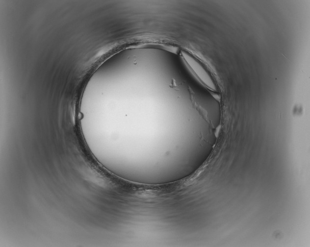 X0000089930062200707201849