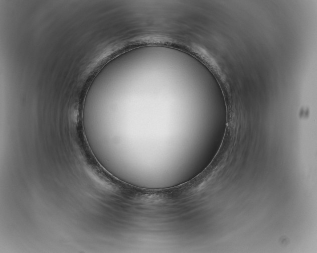 X0000089930063200707201849