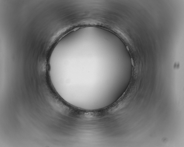 X0000089930064200707201849