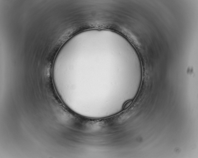 X0000089930065200707201849