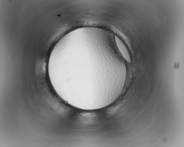 X0000089930067200707201849